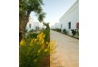 Masseria Torre Maizza Hotel - Puglia - Italy 