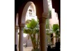 Noir D'Ivoire - Marrakech - Morocco