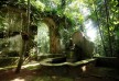 Garden - Bawa House 87 - Bentota - Sri Lanka