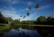 Lake - Bawa House 87 - Bentota - Sri Lanka