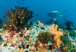 Baros - Maldives