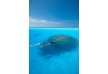 Baros - Maldives