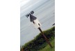 Driftwood Hotel â€“ Cornwall â€“ United Kingdom