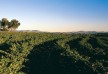 The Louise hotel â€“ Barossa Valley â€“ Australia