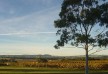 The Louise hotel â€“ Barossa Valley â€“ Australia