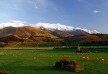 Hapuku Lodge & Tree Houses hotel - Kaikoura - New Zealand
