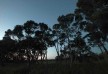 Hapuku Lodge & Tree Houses hotel - Kaikoura - New Zealand