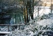 0000023376_lakeinwinter2