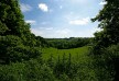 0000023366_view