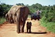 Gorah Elephant Camp hotel - Addo - South Africa