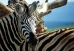 Gorah Elephant Camp hotel - Addo - South Africa