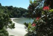 Boatshed hotel â€“ Waiheke Island â€“ New Zealand