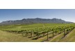 Spicers Vineyards Estate Hotel – Hunter Valley – Australia