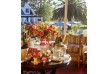 Kurland - Garden Route - South Africa