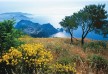 Anacapri-Monte-Solaro