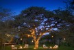 Marataba Safari - Western Limpopo - South Africa