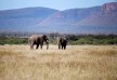 Marataba Safari hotel - Western Limpopo - South Africa