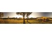 Spicers Canopy Hotel – The Scenic Rim – Australia