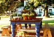 Kurland - Garden Route - South Africa