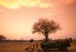 Lion Sands, Ivory Lodge - Kruger Park - South Africa