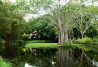 Main Pond - Bawa House 87 - Bentota - Sri Lanka