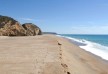 Cuixmala â€“ Jalisco â€“ Mexico
