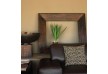 Etali Safari Lodge - North West Province - South Africa