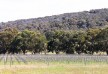 Vineyard - Empire Retreat hotel - Margaret River - Australia
