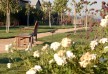 Carneros Inn - Napa Valley - United States