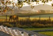Carneros Inn - Napa Valley - United States