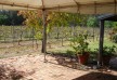 Terrace - Tower Lodge hotel - Hunter Valley - Australia
