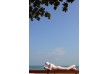 The Library â€“ Koh Samui â€“ Thailand