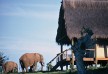 Gorah Elephant Camp hotel - Addo - South Africa