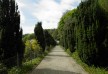 Hotel Endsleigh – Devon – United Kingdom