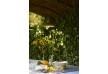 HÃ´tel Crillion le Brave â€“ Provence â€“ France