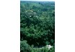 Alila Ubud â€“ Bali â€“ Indonesia