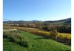 Follonico Hotel – Tuscany – Italy