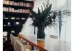 Hotel Pulitzer â€“ Barcelona â€“ Spain