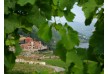 Aquapura â€“ Douro Valley â€“ Portugal