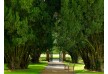 Walled garden - Tankardstown House - County Meath - Ireland