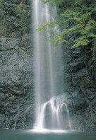 0000012586_WGOOBF_PORTRAIT