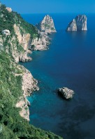 0000010155_capri-WGOBF-P