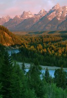 0000049270_Jackson_WGOBF_400x600_1