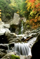 0000020273_activities400x600