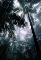 0000040737_WGOBFPortTree70009969_11