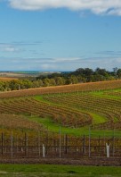 Fleurieu-Peninsula-portratit