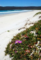 East Coast Tasmania - Australia