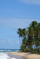 DSC00048