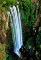 Scenic Rim - Australia