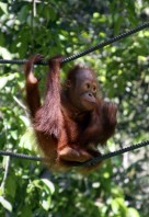 Sabah – Malaysia